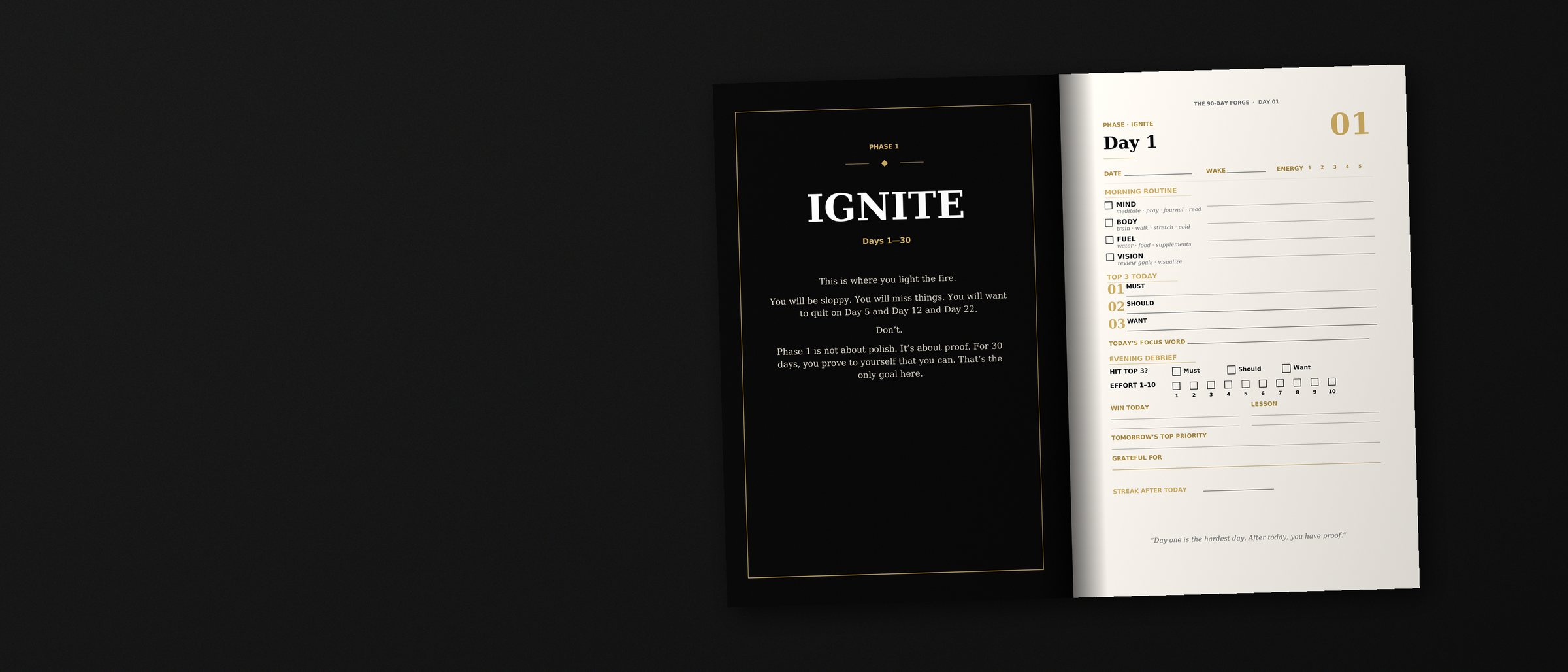 An open spread of The 90-Day Forge — the Phase 1 Ignite divider facing the Day 1 daily page