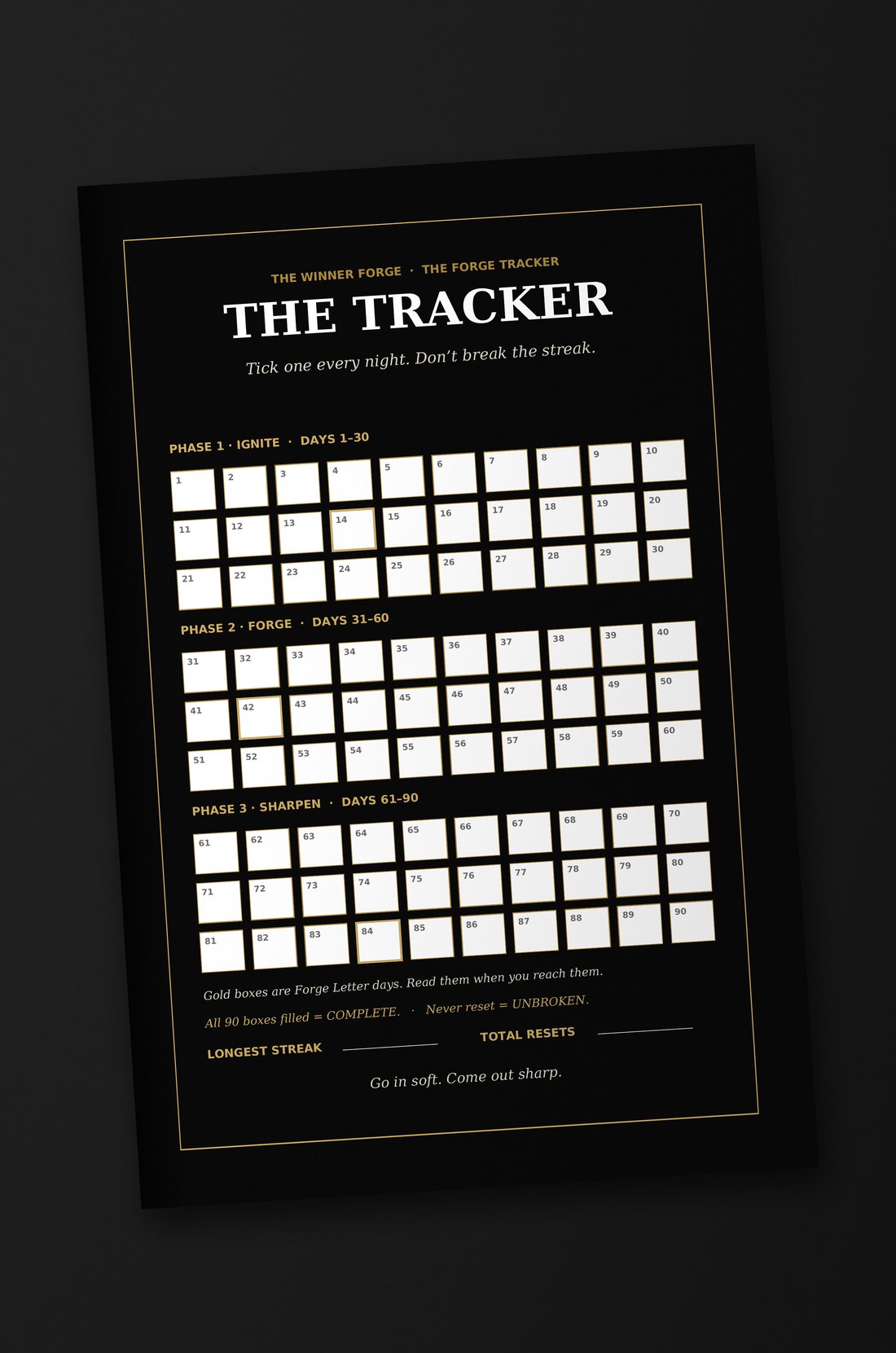 The 90-box tracker page inside The 90-Day Forge